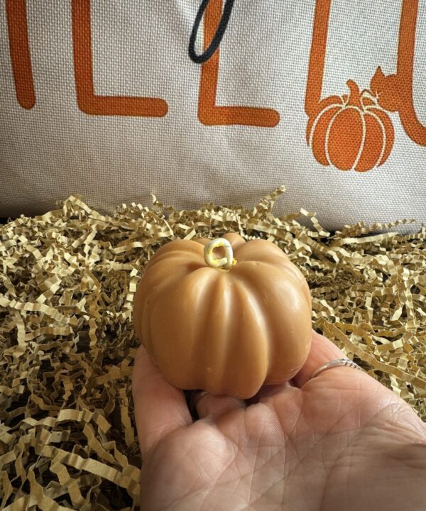 Autumn pumpkin candle